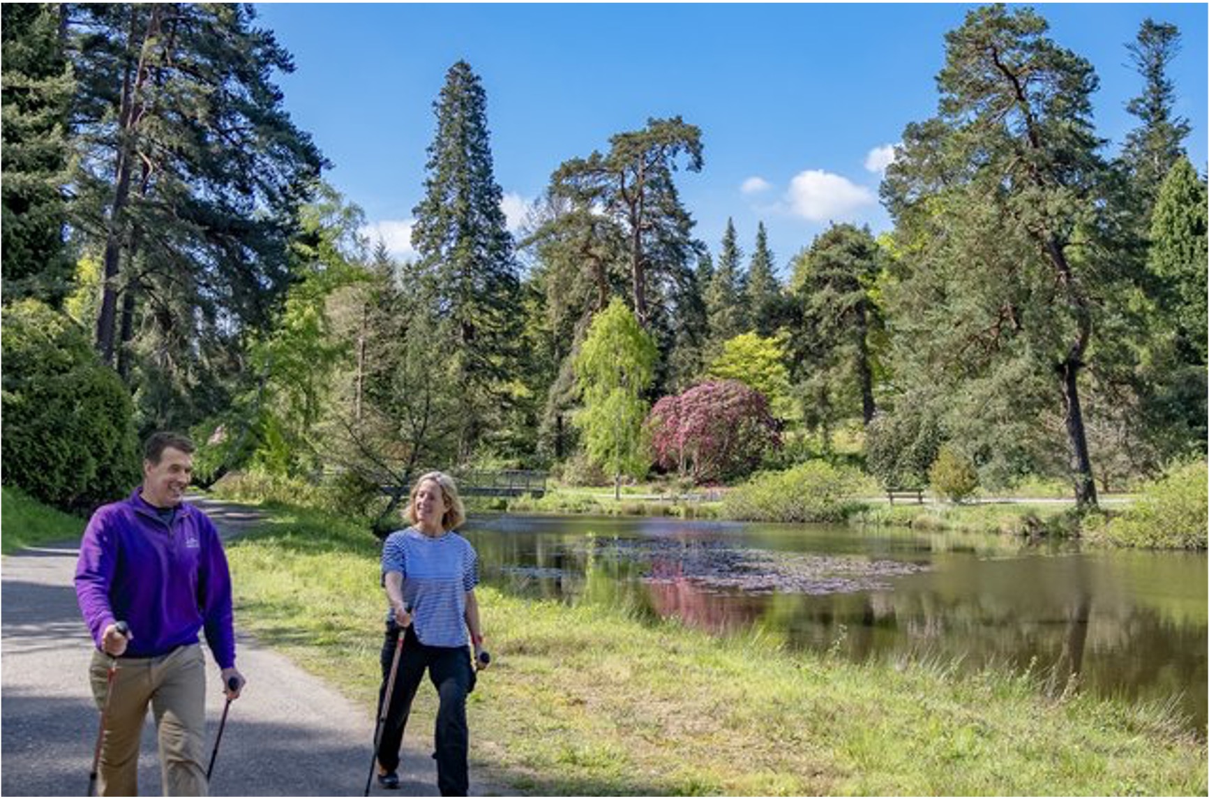 Bedgebury Pinetum - a view of the lake and impressive selection of trees.