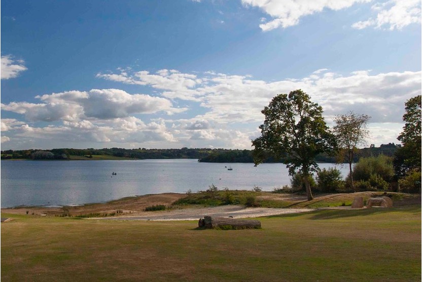 A view of the lake at Bewl Water.